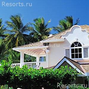 Coral Reef Club 6